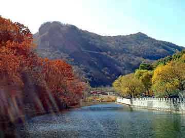 澳门天天彩期期精准平肖，遂川seo服务